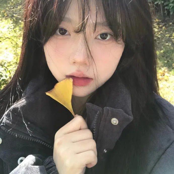 花园精灵